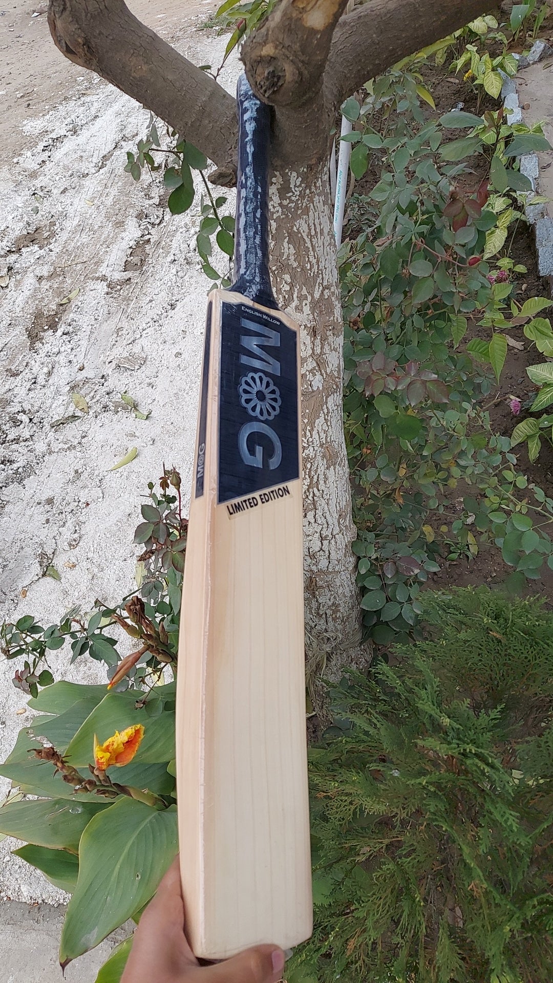 MG English Willow Cricket Bat Limited Edition